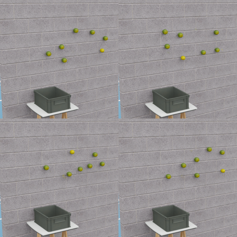 Randomized object placement in the lemon harvesting task